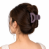 HUI Hair Claw Clips for Women (Pack of 12) | Mini Matte Hair Clutch Clips | Strong Hold Non-Slip Jaw Clips | Cute Korean Style Hair Accessories for Girls | Daily Wear Hair Styling Clips | Multicolor