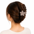 HUI Flower Hair Claw Clips for Women (Pack of 12) | Mini Matte Daisy Hair Clips | Strong Hold Non-Slip Hair Clutch Clips | Cute Korean Style Hair Accessories for Girls | Floral Hair Jaw Clips | Multicolor