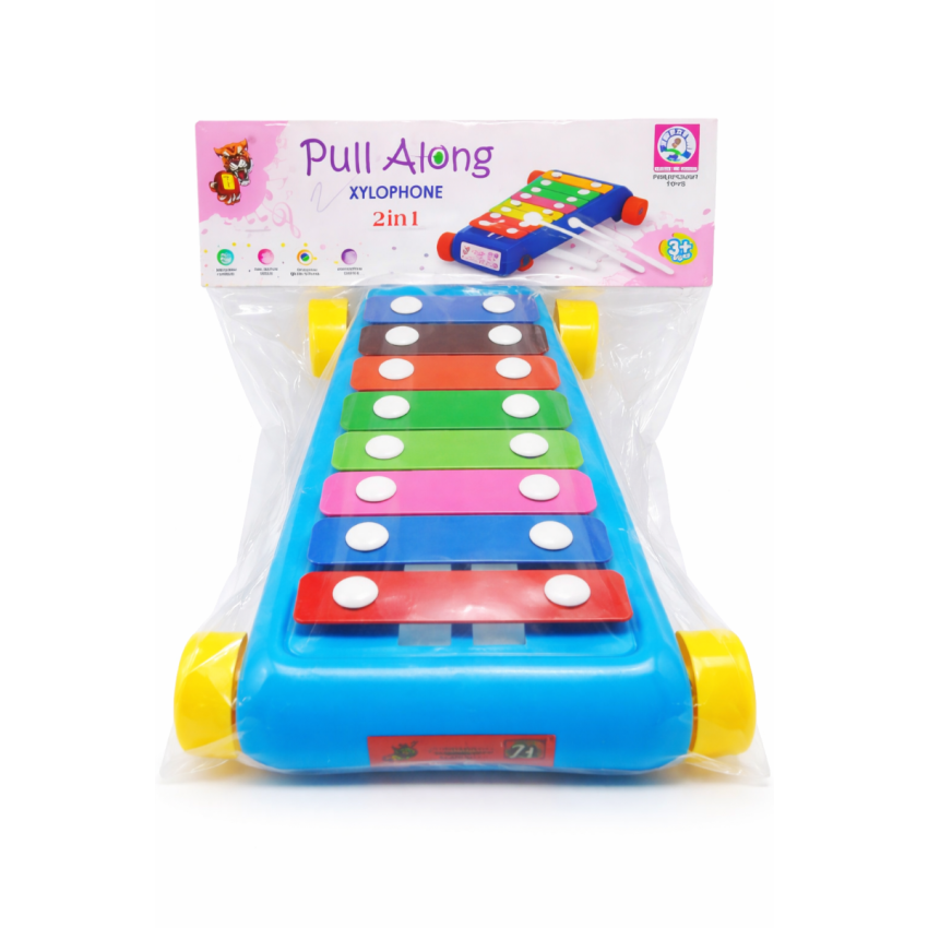 Pull Along Xylophone Toy for Kids 2 in 1 | Musical Learning Toy with Wheels & Mallets | Baby Educational Toy for Toddlers | Colorful Music Toy for Boys & Girls (3+ Years)