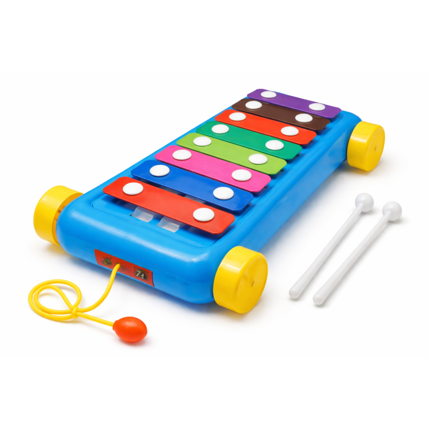 Pull Along Xylophone Toy for Kids 2 in 1 | Musical Learning Toy with Wheels & Mallets | Baby Educational Toy for Toddlers | Colorful Music Toy for Boys & Girls (3+ Years)